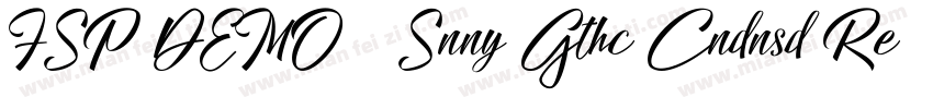 FSP DEMO   Snny Gthc Cndnsd Regula字体转换